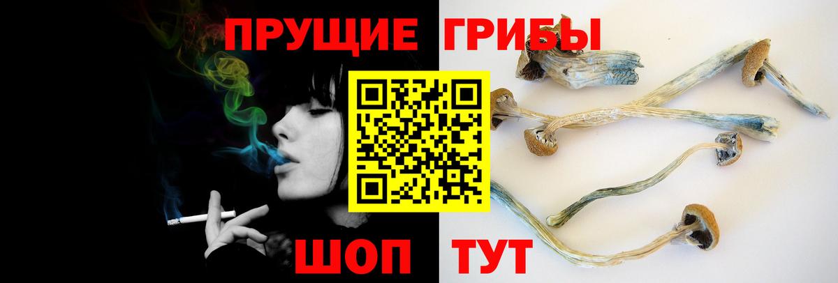 Галлюциногенные грибы MAGIC MUSHROOMS  Галлюциногенные грибы GOLDEN TEACHER  Вход с VPN  Тихорецк 