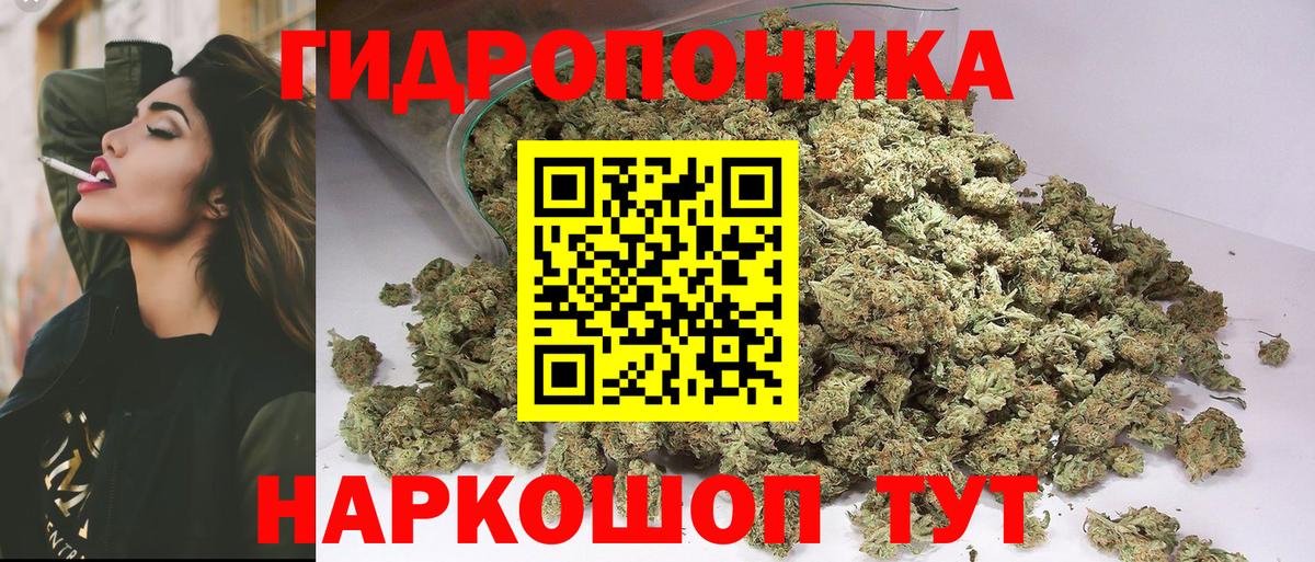 Каннабис конопля Тихорецк